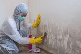 Best Forensic Mold Investigation  in Dewey Humboldt, AZ